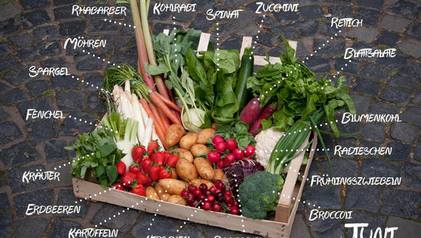 Monatskorb "Juni" mit regionalem & saisonalem Gemüse