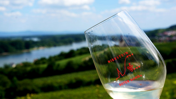 Im Vordergrund ein schräg gehaltenes Weinglas, im Hintergrund Landschaft.