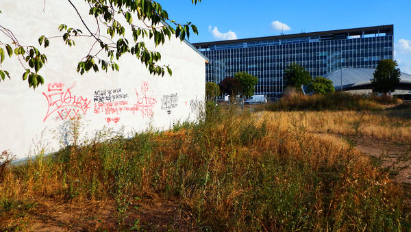Wiese, Haus mit Grafitti im Vordergrund