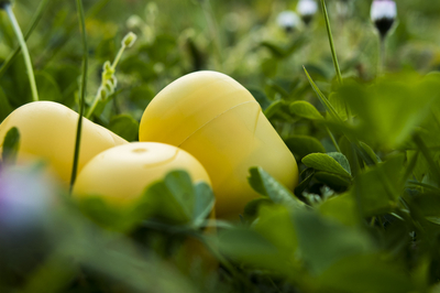 Drei gelbe Eier im grünen Gras