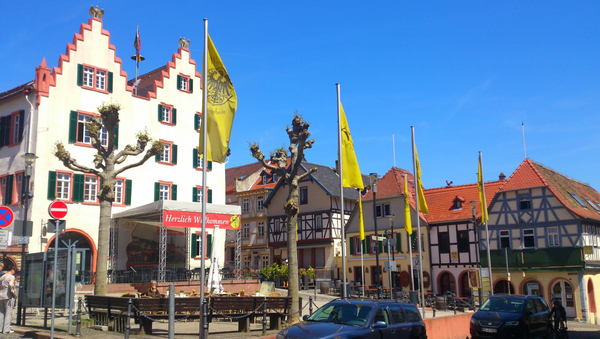 Ansicht eines Ortskerns. Vor dem Rathaus wehen Flaggen.
