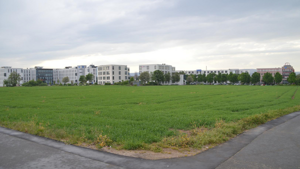Im Vordergrund ein Weg, im Hintergrund eine Wiese, Bäume und grobe Gebäude