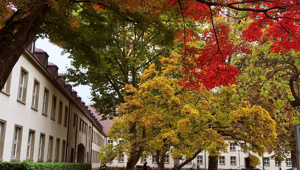 Links und im Hintergrund Gebäude. Vor dem Gebäude ein Baum mit rot und gelb gefärbten Blättern.