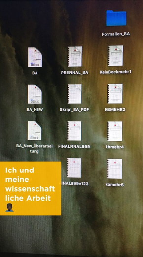 Jodel: "Ich und meine wissenschaftliche Arbeit (Bild von Desktop: 12 Dokumente mit Titeln von "BA" über "FINALFINAL999" bis "KeinBockmehr5")"