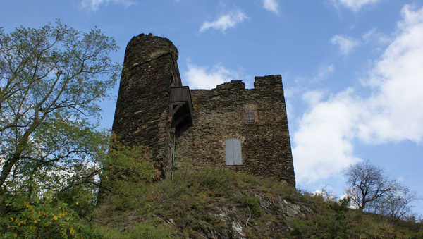 Burg Nollig: Die Ruine der Burg Nollig