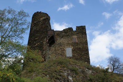Burg Nollig: Die Ruine der Burg Nollig