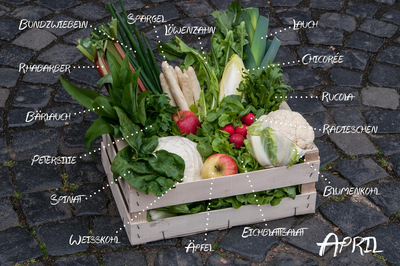 Monatskorb "April" mit regionalem & saisonalem Gemüse