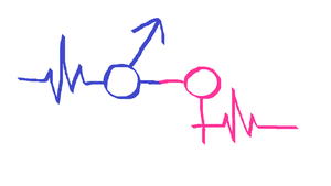Das Bild besteht aus einer einzigen gezeichneten Linie: Links sind in blau EKG-Ausschläge zu sehen, die in das männliche Geschlechtssymbol mit dem Kreis und dem Pfeil nach oben übergehen. Von dem männlichen Symbol geht ein rosafarbener Strich ab, der zum weiblichen Geschlechtssymbol mit dem Pfeil nach unten geformt ist. Dieses Symbol geht ebenfalls in gezeichnete EKG-Ausschläge über.