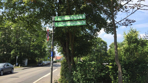 Ein grünes Straßenschild. Rechts davon Bäume, links davon eine Straße.