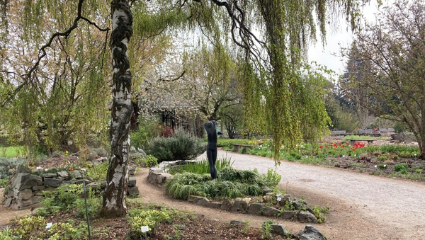 Neben zahlreichen Pflanzen und Bäumen im Botanischen Garten ist auch eine Statue zu sehen.