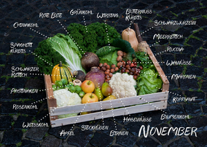 Monatskorb "November" mit regionalem & saisonalem Gemüse