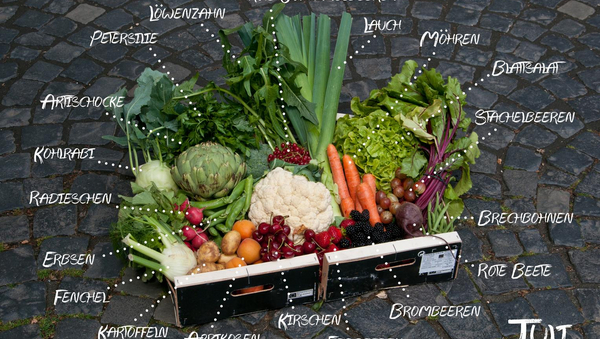 Monatskorb "Juli" mit regionalem & saisonalem Gemüse