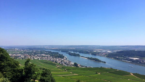 Blick über das Rheintal.
