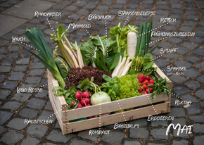 Monatskorb Mai mit regionalem & saisonalem Gemüse