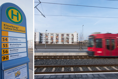Zwei Bilder: Im linken Bild ein Haltestellenschild, im rechten Bild eine fahrende Straßenbahn