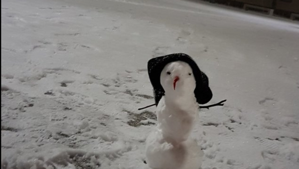 Bild von einem kleinen Schneemann mit Mütze auf dem Vorplatz des Campus