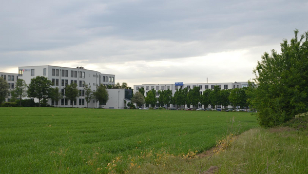 Ein Stück Wiese, im Hintergrund Gebäude und Bäume