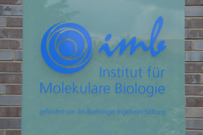Eine Glastafel mit der Aufschrift: "imb, Institut für molekulare Biologie. Gefördert von der Boehringer Ingelheim Stiftung."